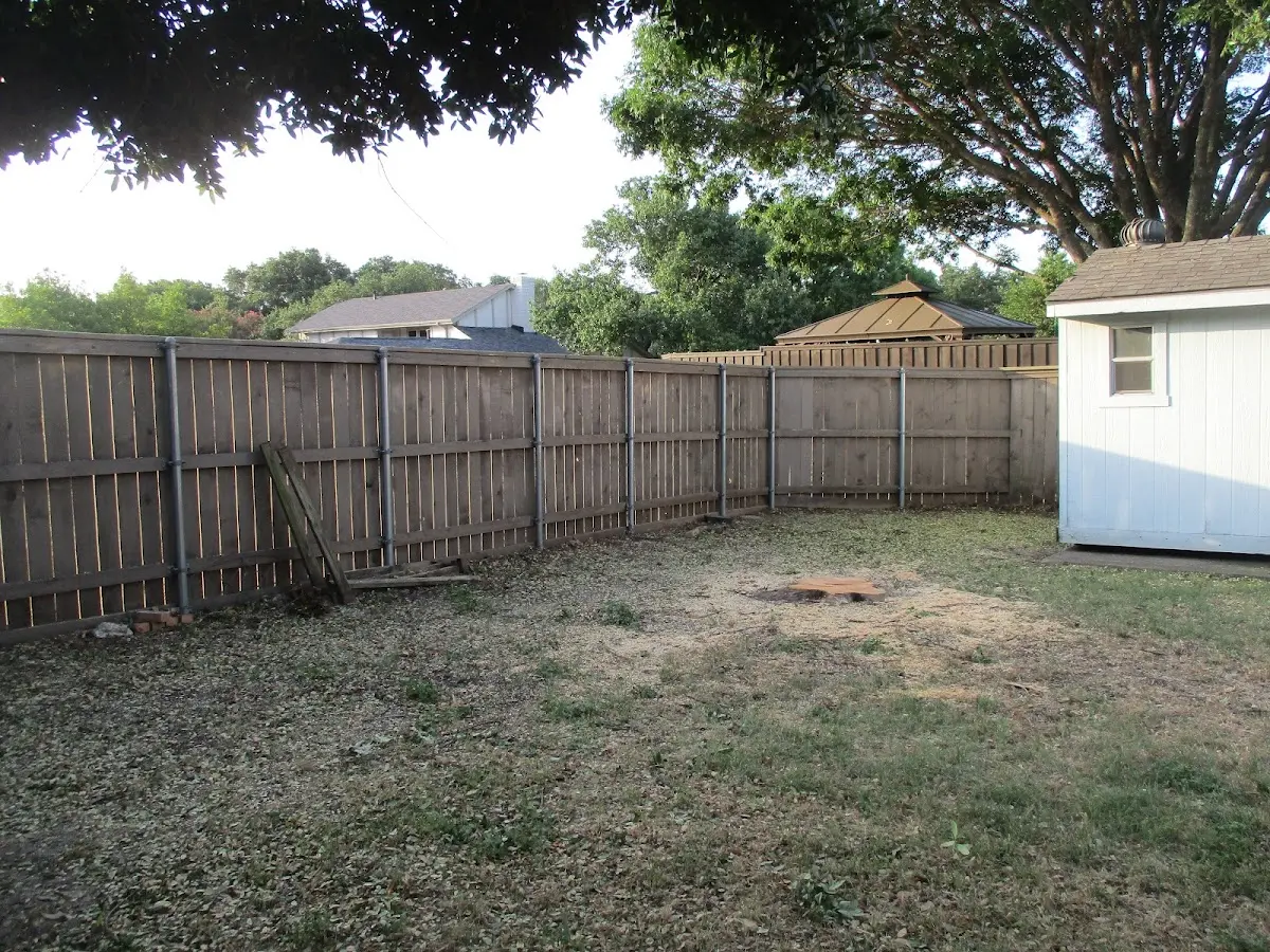 Cleared yard after professional tree removal in Rye